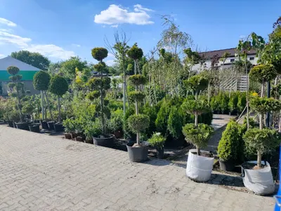 WSZYSTKO DO OGRODU - Libet Autoryzowany Punkt Sprzedaży